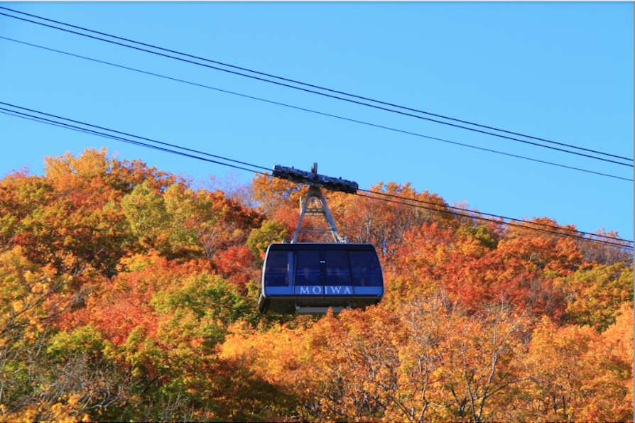 神戸布引ハーブ園 ロープウェイの紅葉22年の見頃は ライトアップの時間帯やアクセス 駐車場情報まで のんびりゆったり淡路島ライフ