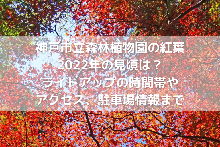 神戸市立森林植物園の紅葉22年の見頃は ライトアップの時間帯やアクセス 駐車場情報まで のんびりゆったり淡路島ライフ