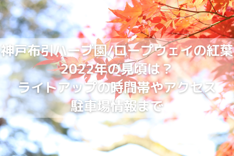 神戸布引ハーブ園 ロープウェイの紅葉22年の見頃は ライトアップの時間帯やアクセス 駐車場情報まで のんびりゆったり淡路島ライフ