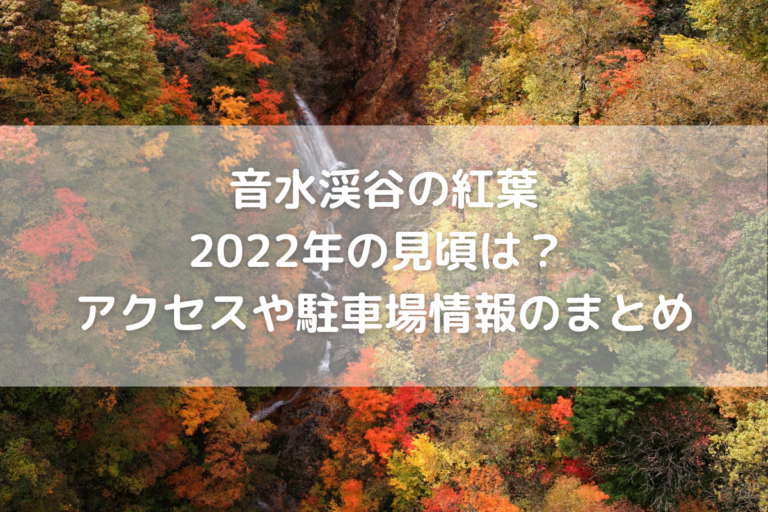 音水渓谷の紅葉22年の見頃は アクセスや駐車場情報のまとめ のんびりゆったり淡路島ライフ